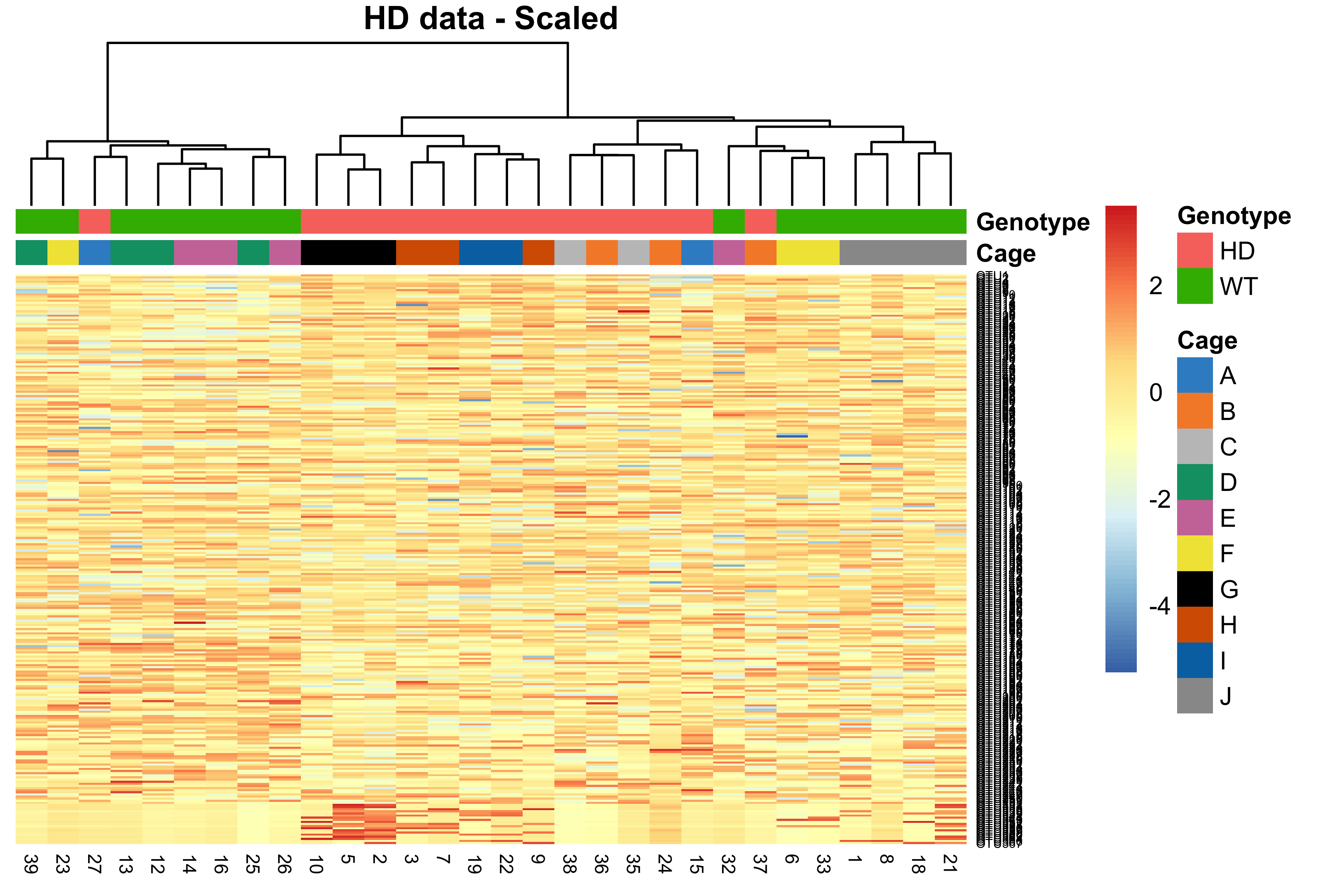 Hierarchical clustering for samples in the HD data.